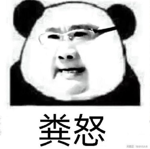 转裙子的表情包,趣味横生的网络文化现象