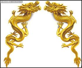 金龙一 个人资料,传奇企业家的人生轨迹与商业智慧